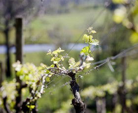Galli Estate Winery - Accommodation Burleigh 0