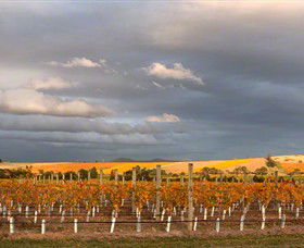 Coombe Yarra Valley - Accommodation Burleigh 1