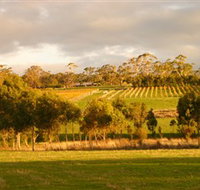 Gosling Creek - Accommodation Burleigh
