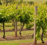Mt Coghill Vineyard - Accommodation Burleigh