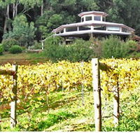 Peveril Vineyard/Beechy Berries - Accommodation Burleigh