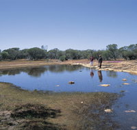 Camel Soak - Accommodation Burleigh