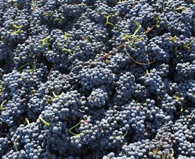 Punt Road Winery - Accommodation Burleigh 6