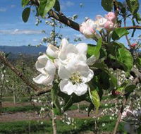 Mouat's Farm - Accommodation Burleigh