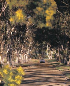 Malyalling ACT Accommodation Burleigh