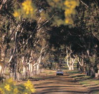 Albert Facey Heritage Trail - Accommodation Burleigh