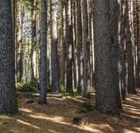 Sugarpine Walk - Accommodation Burleigh