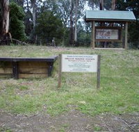 Shelley Forest Camp - Accommodation Burleigh