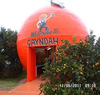 Gayndahs Big Orange - Accommodation Burleigh