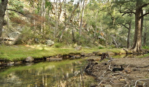 Capertee National Park - Accommodation Burleigh 0