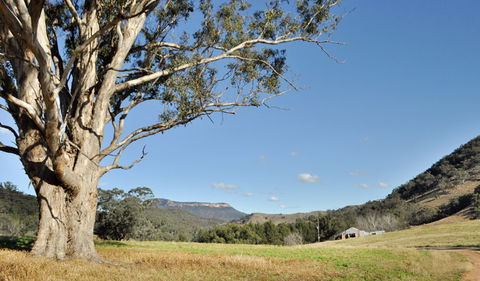 Capertee National Park - Accommodation Burleigh 2