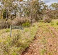 Old Mountain Road Walking Track - Accommodation Burleigh