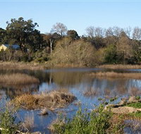 Coolart Wetlands and Homestead - Accommodation Burleigh