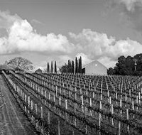 Willow Creek Vineyard - Accommodation Burleigh