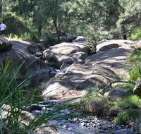 Towarri National Park - Accommodation Burleigh