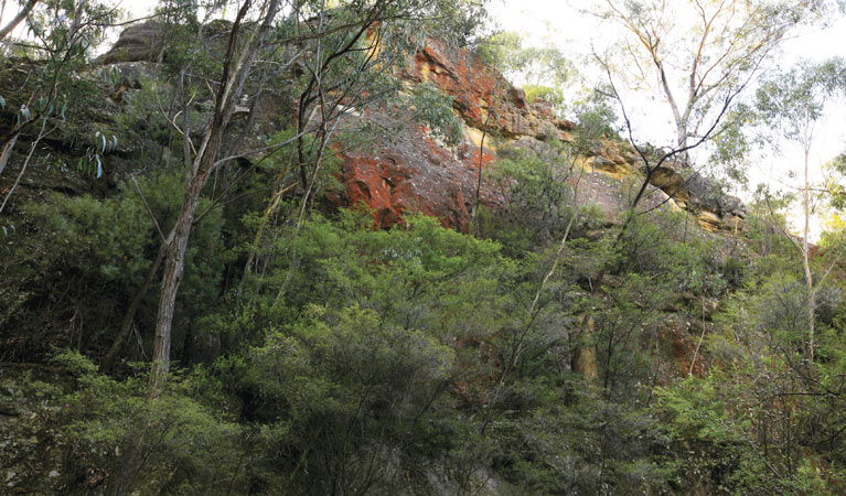 Hampton NSW Accommodation Burleigh