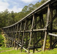 Noojee Trestle Bridge - Accommodation Burleigh