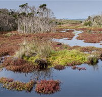 French Island National Park - Accommodation Burleigh