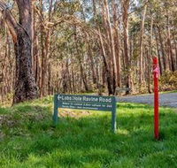 Lobs Hole Ravine 4WD Trail - Accommodation Burleigh