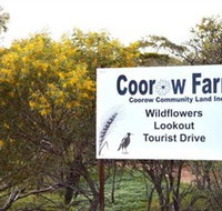 Coorow Farm Wildflower Trail - Accommodation Burleigh