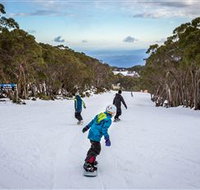 Mt Baw Baw Alpine Resort - Accommodation Burleigh