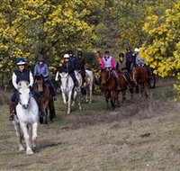 Burnelee Excursions on Horseback - Accommodation Burleigh