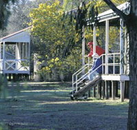 Dryandra Woodland - Accommodation Burleigh