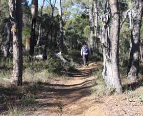 Mount Dale Walk Trail - Accommodation Burleigh 2