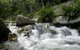 Washpool National Park - thumb 0