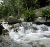 Washpool National Park - Accommodation Burleigh