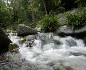 Washpool National Park - Accommodation Burleigh 0