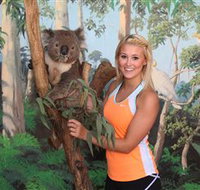 Maru Koala and Animal Park - Accommodation Burleigh