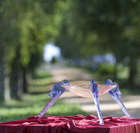 Lillico Glass Studio - Accommodation Burleigh