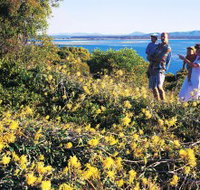 Joseph Banks Conservation Park - Accommodation Burleigh