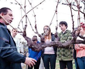 Varias Restaurant And Conference Centre Incorporating Banca Ridge Winery Cellar Door - Accommodation Burleigh 3