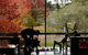 Country Art Escapes - New England North West Regional Arts Trail - thumb 2