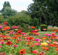 Alma Park - Accommodation Burleigh