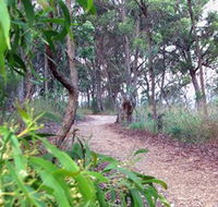 Mount Mutton Walking Trail - Accommodation Burleigh