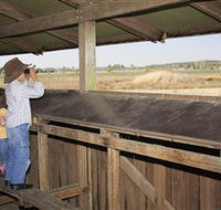 Dangars Lagoon and Racecourse Lagoon - Accommodation Burleigh