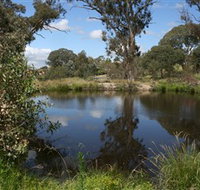 Cooleman Ridge - Accommodation Burleigh