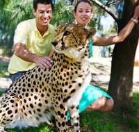 National Zoo  Aquarium - Accommodation Burleigh