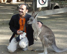 Activity Tours Australia - Accommodation Burleigh 3
