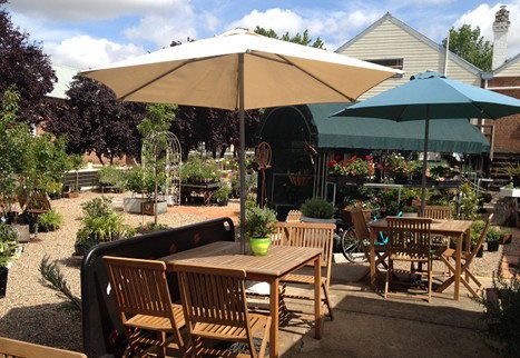 Mayfield Mews - Accommodation Burleigh 0