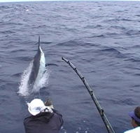Amokura Charters - Accommodation Burleigh