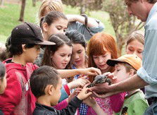 Blackbutt Reserve - Accommodation Burleigh 2