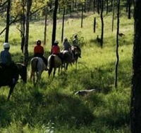 Hunter Valley Horse Riding and Adventures - Accommodation Burleigh