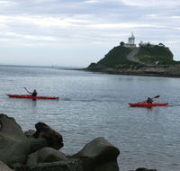 Newcastle Kayak Tours - Accommodation Burleigh