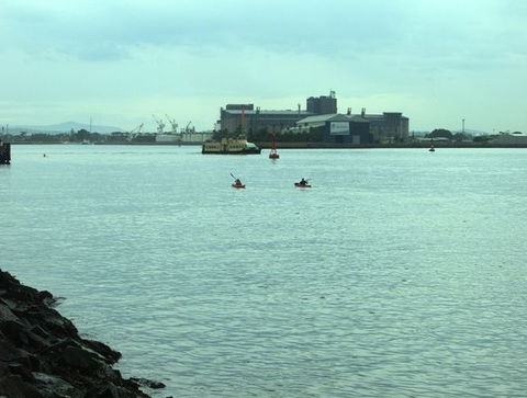 Newcastle Kayak Tours - Accommodation Burleigh 5