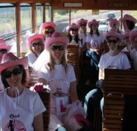 Newcastles Famous Tram - Accommodation Burleigh