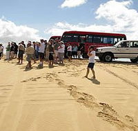 Port Stephens 4WD Tours - Accommodation Burleigh